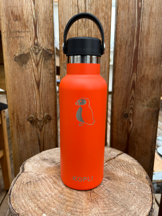 Silhouette orange